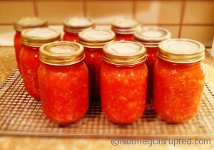 Fresh made salsa on Nutmeg Disrupted