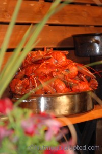 Ready to feast on fresh PEI lobster.