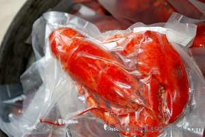 Prepping lobster for the freezer