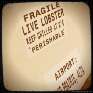Cases of fresh lobster from the east coast of Canada.