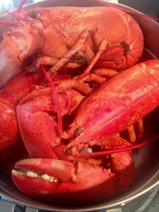 steaming lobster