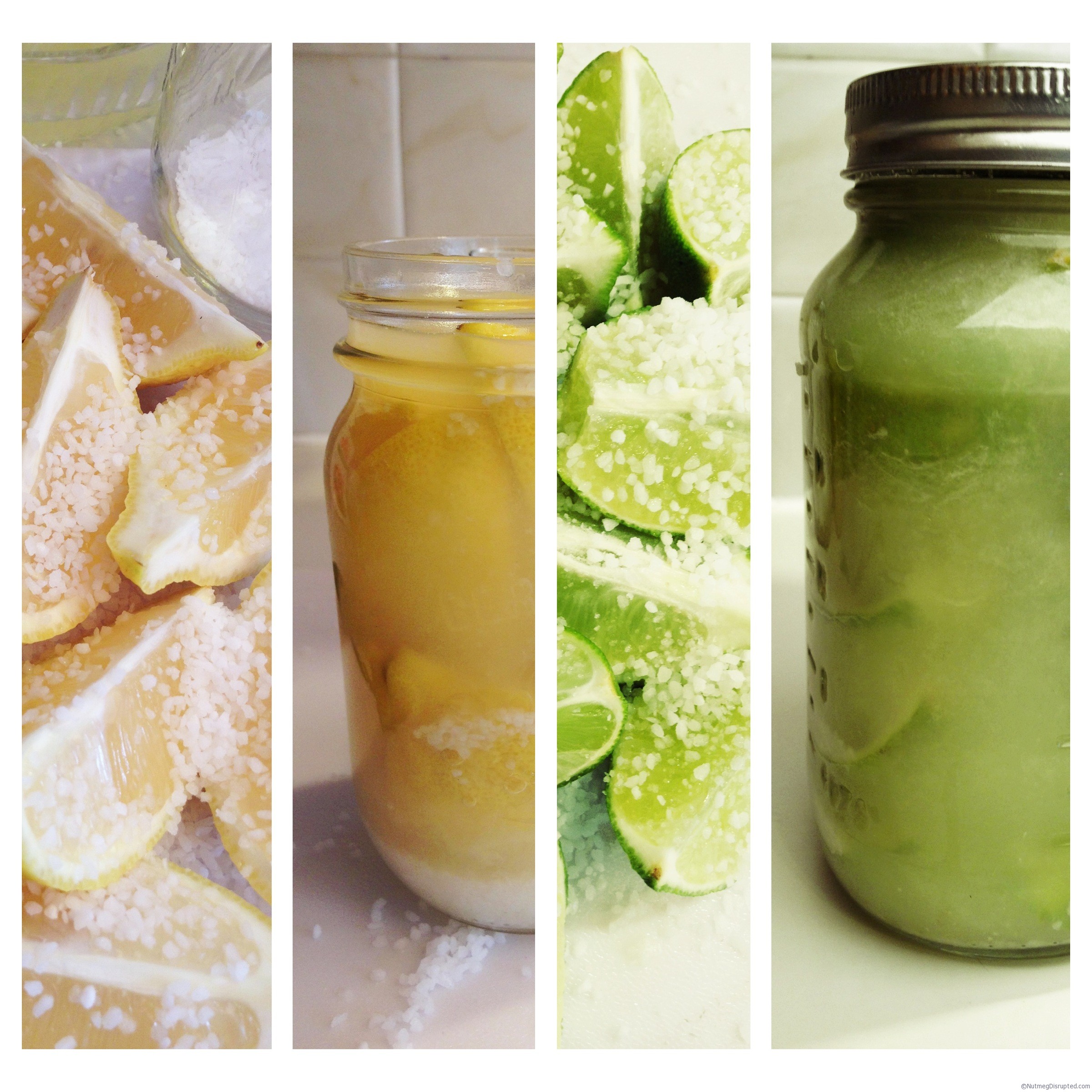 Preserving Lemons and Limes