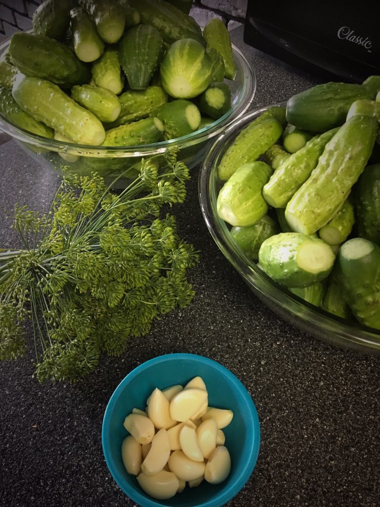 making dill pickles