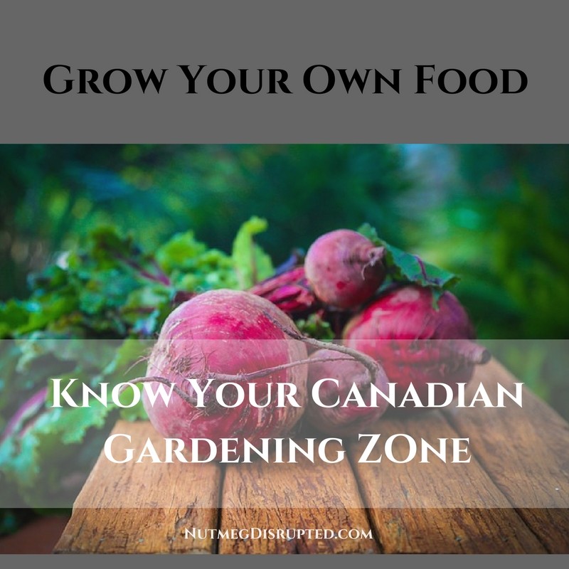 Canadian gardening zone
