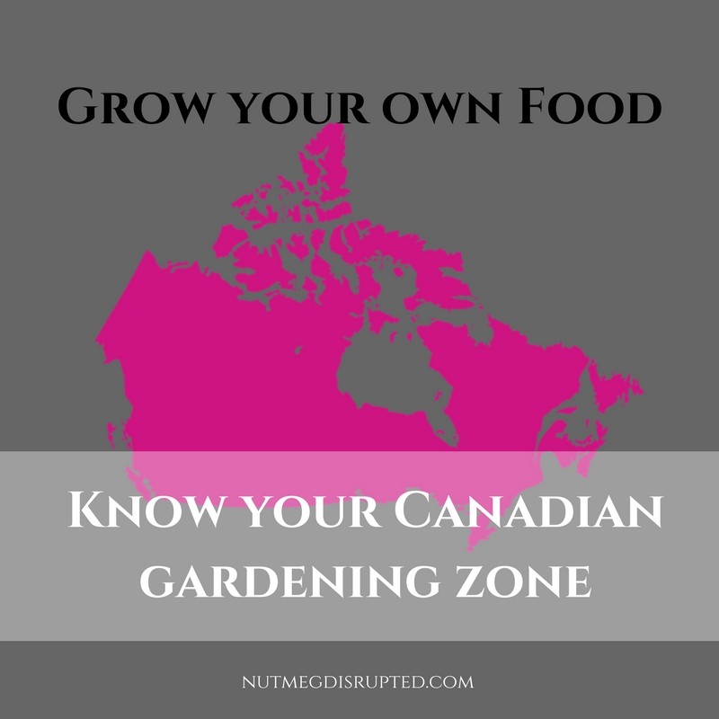 food gardening zone