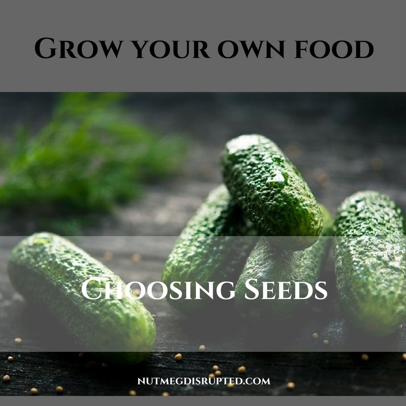grow your own food choosing seeds