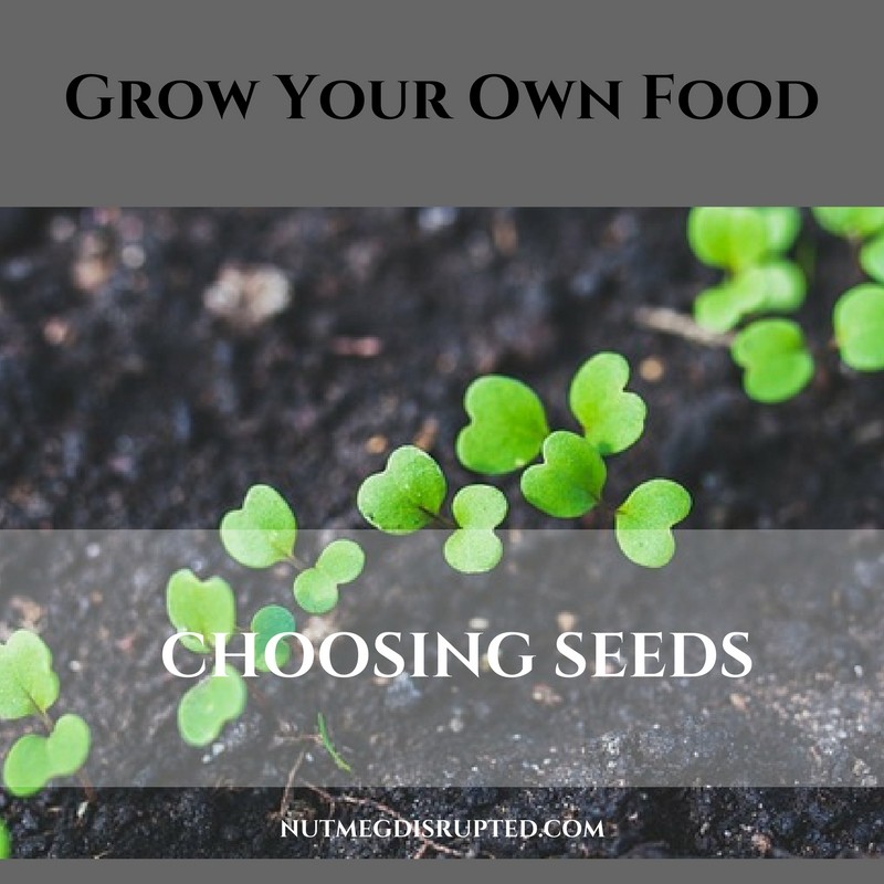 choosing seeds