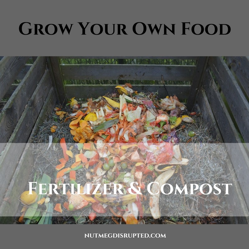 grow your own food fertilizer and compost