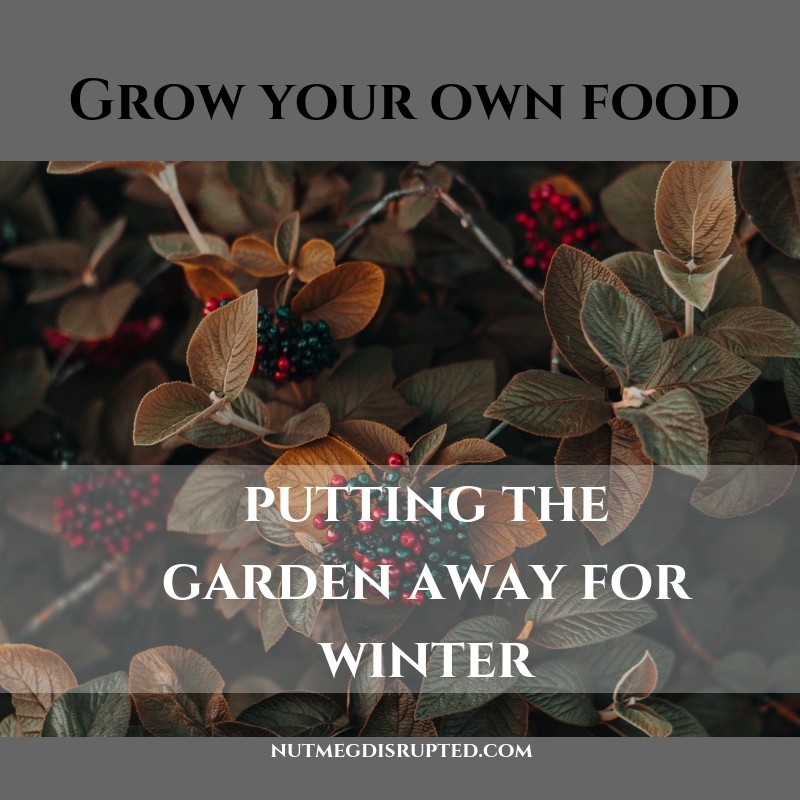 putting the garden away for winter