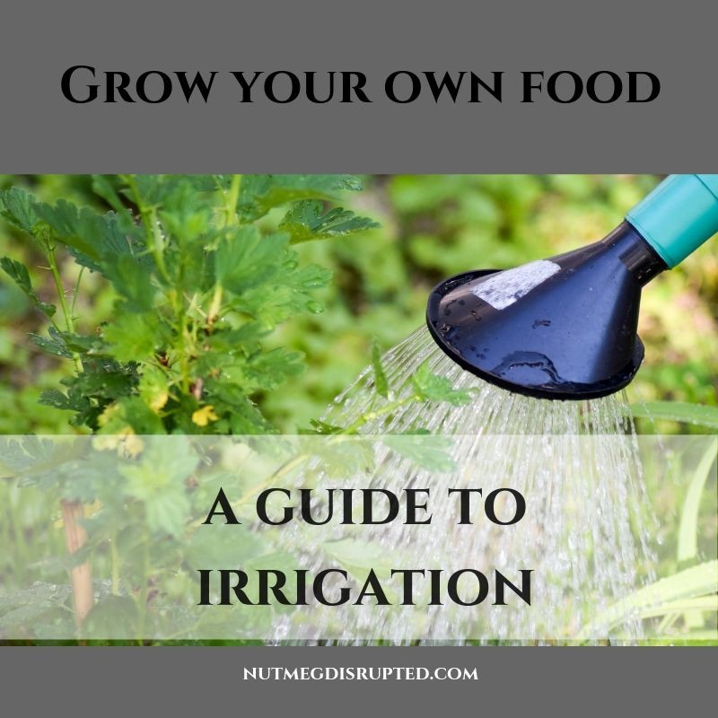 grow your own food a guide to irrigation