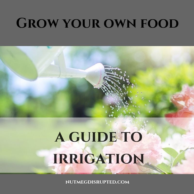 a guide to irrigation