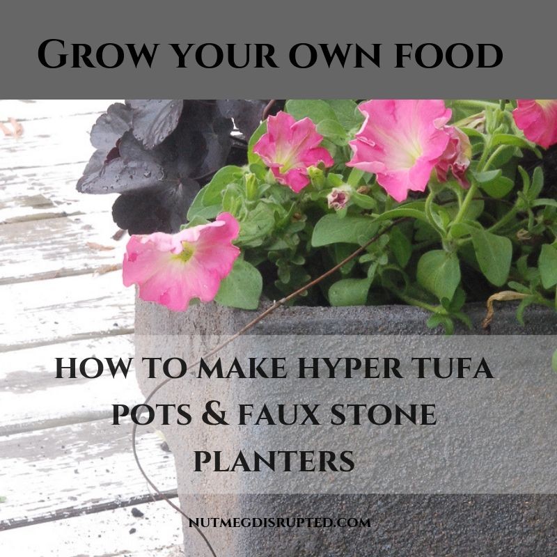 grow your own food making a hypertufa and faux stone planter