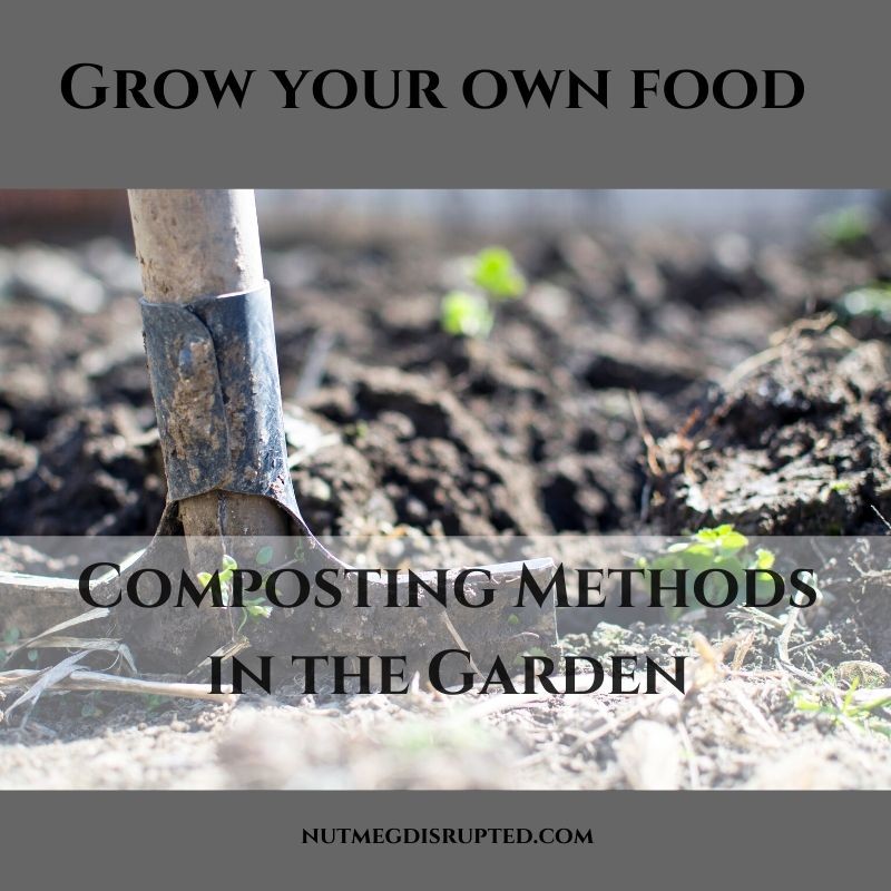 grow your own food composting methods in the garden