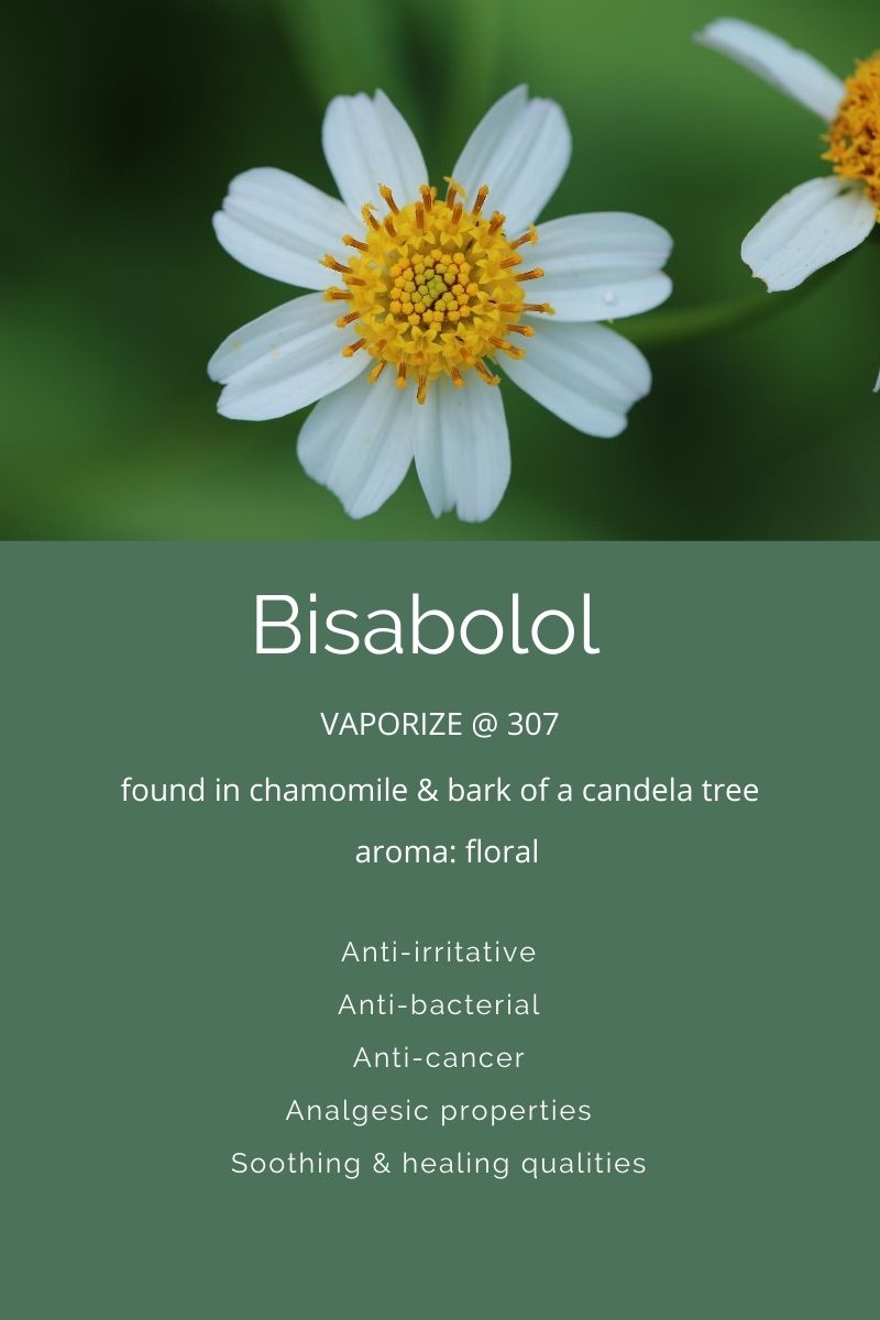 Terpenes A Closer Look at Bisabolol
