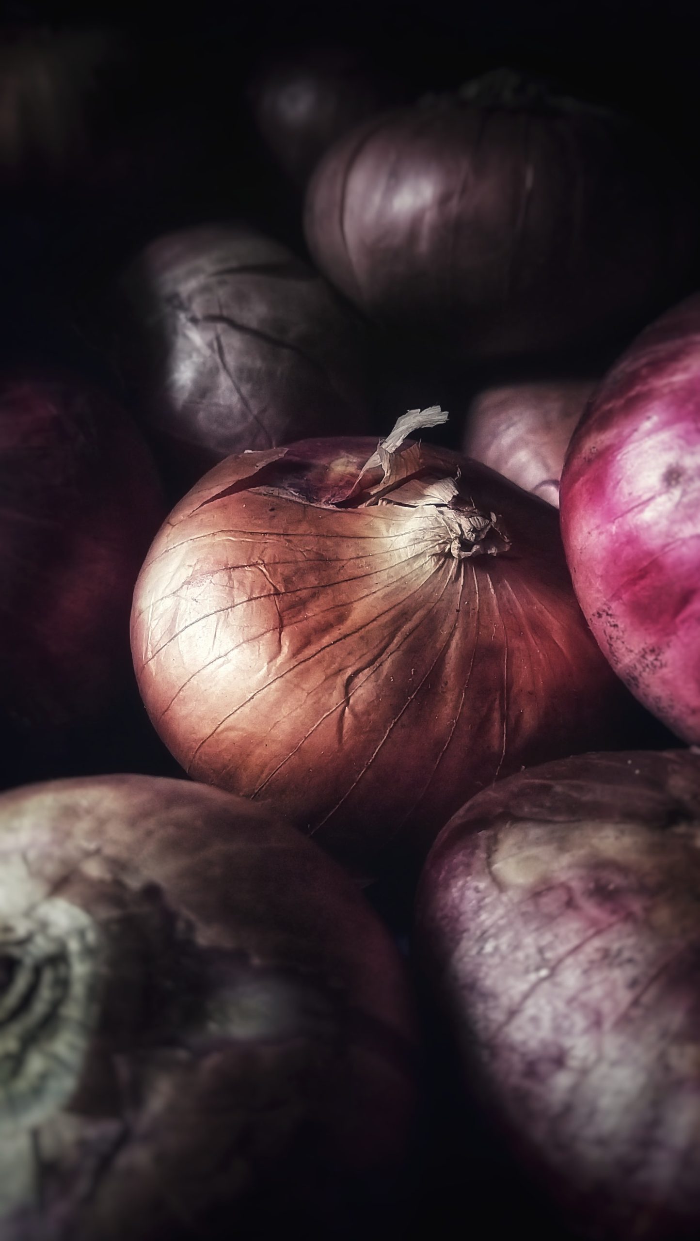 beautiful red onions