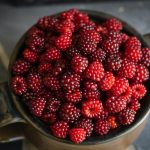 raspberries for curd
