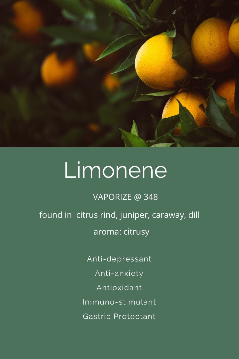 Terpenes A Closer Look At Limonene