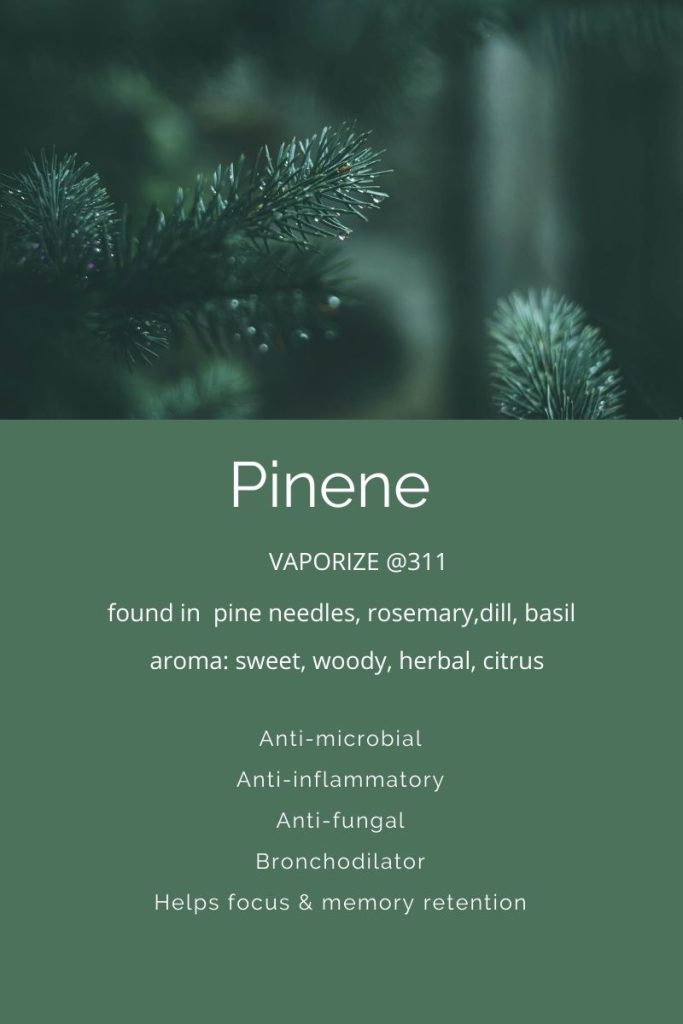 Terpenes A Closer Look At Pinene - Nutmeg Disrupted