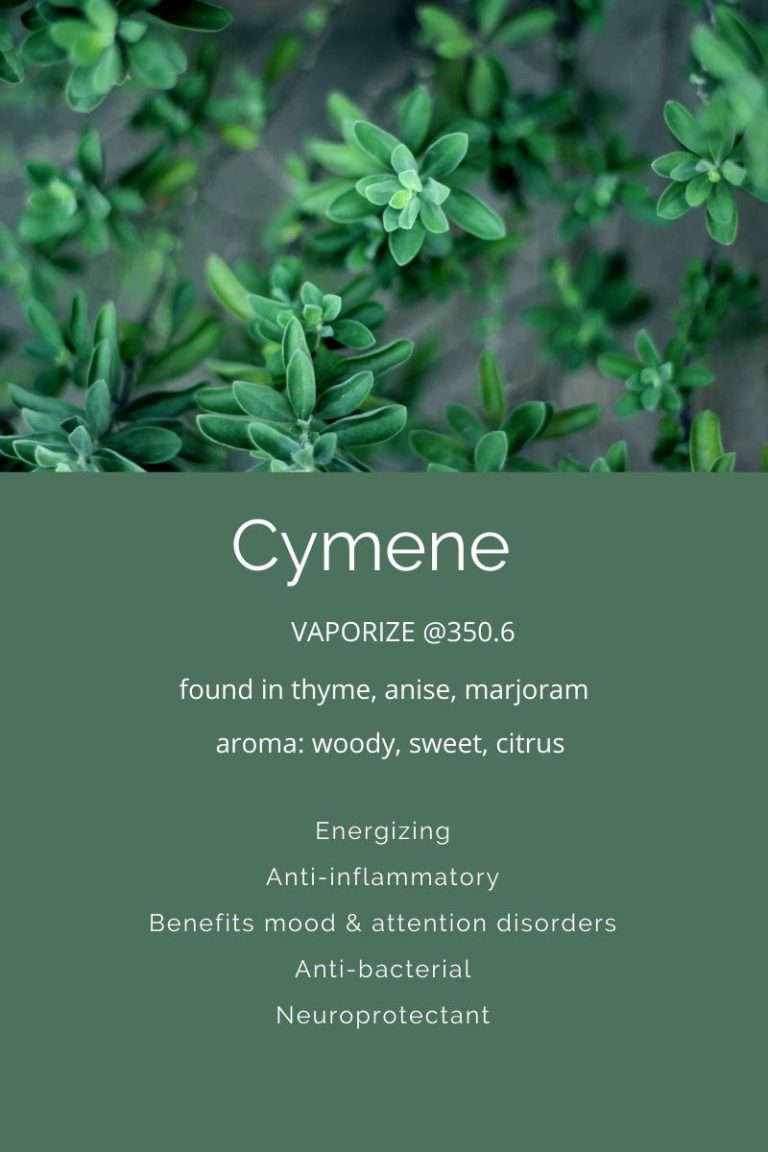 Terpenes A Closer Look At Cymene - Nutmeg Disrupted