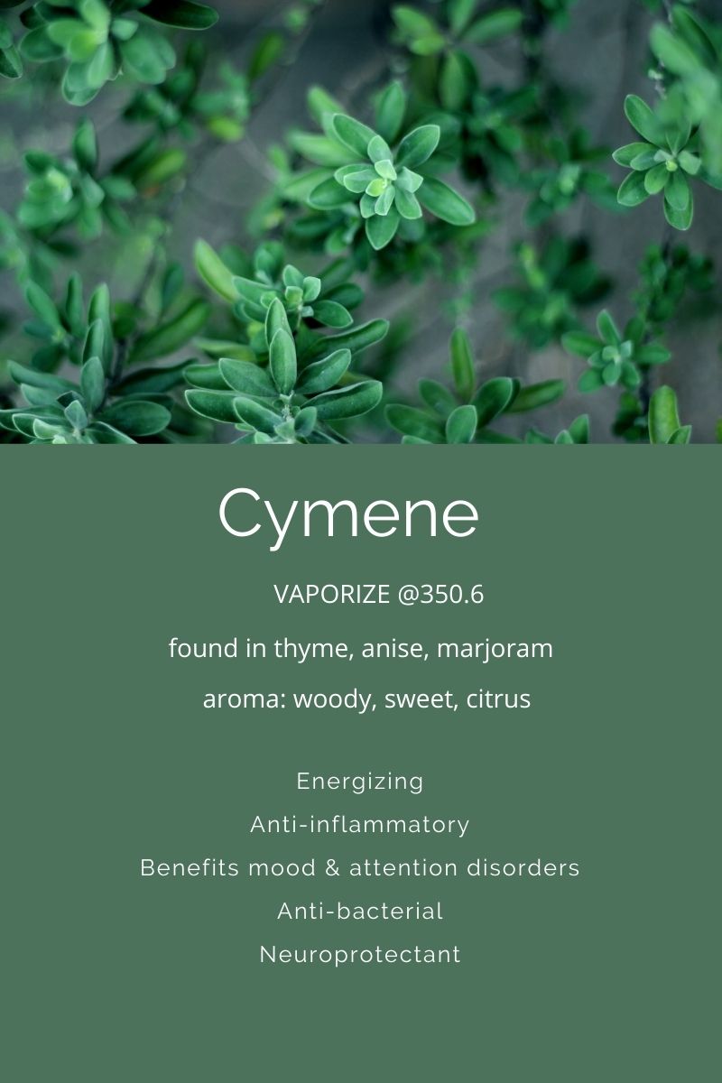 Terpenes A Closer Look At Cymene