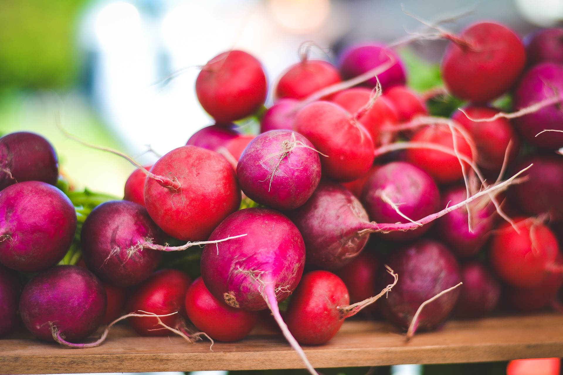 How To Grow Radishes Nutmeg Disrupted