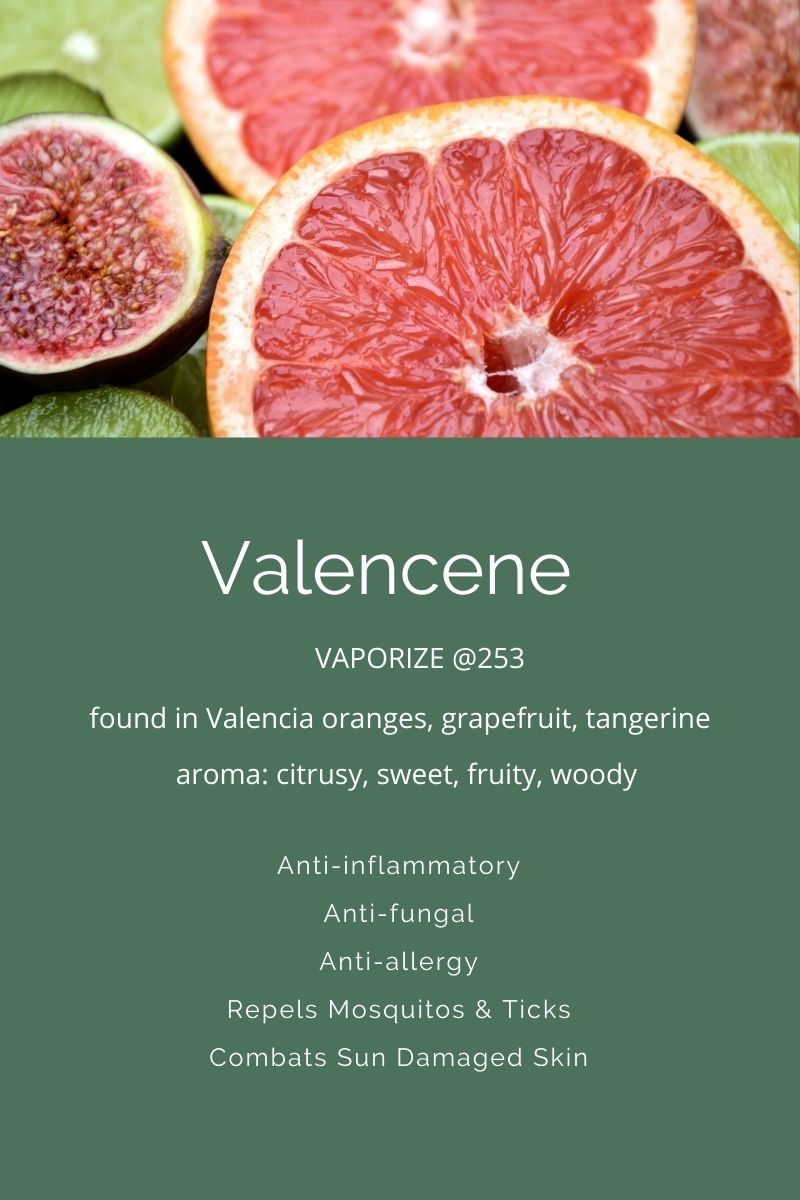 Terpenes A Closer Look At Valencene