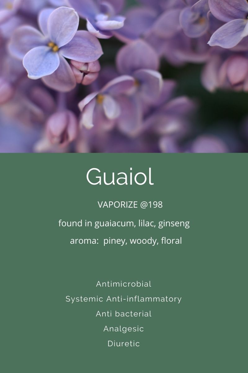 Terpenes A Closer Look At Guaiol