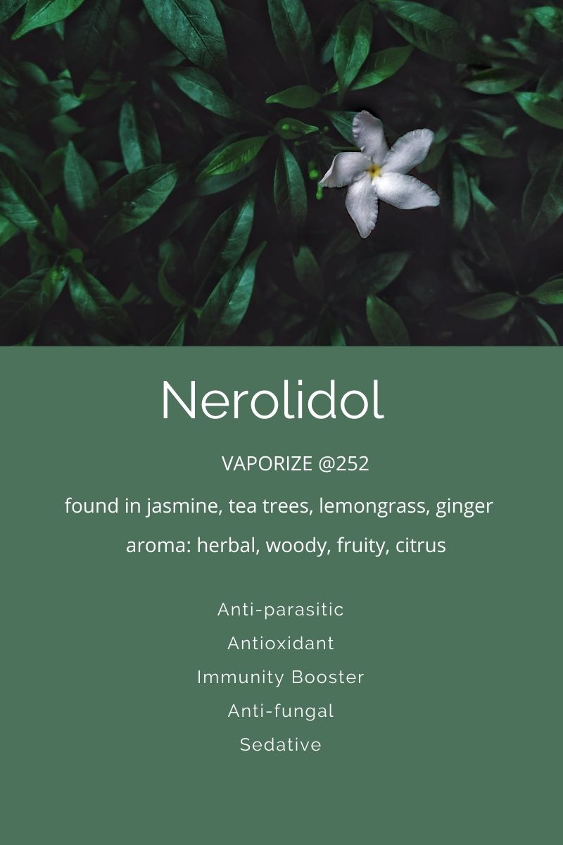 Terpenes A Closer Look At Nerolidol