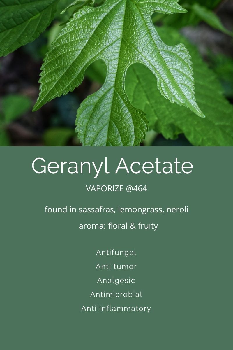 Terpenes A Closer Look At Geranyl Acetate