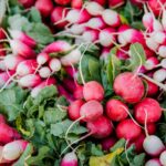 a beautiful selection of radishes