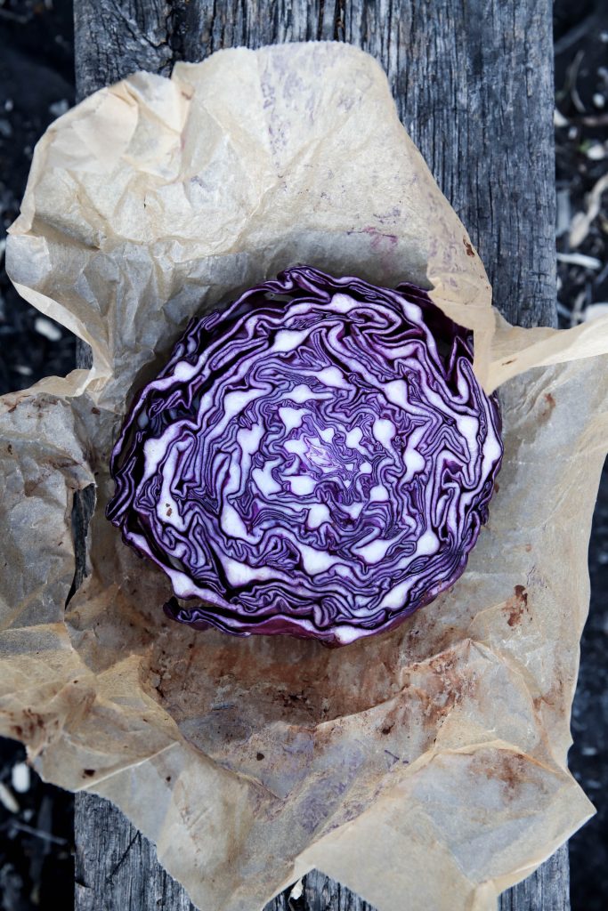 red cabbage in the kitchen