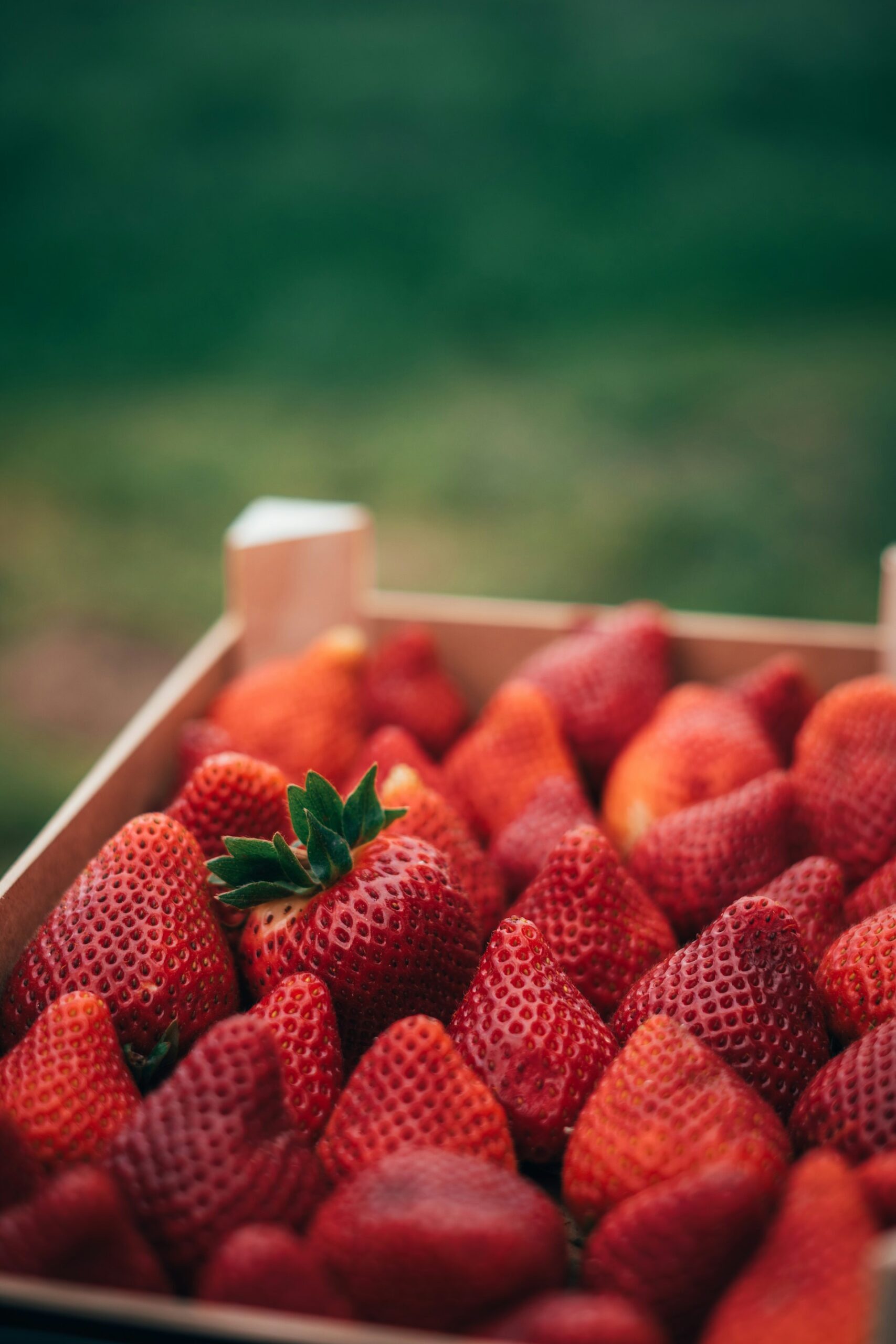 flat of berries